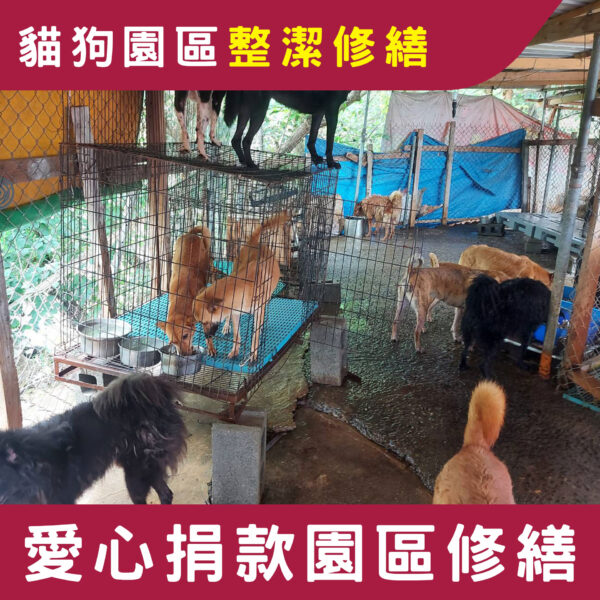 流浪犬貓環境修繕募款計畫