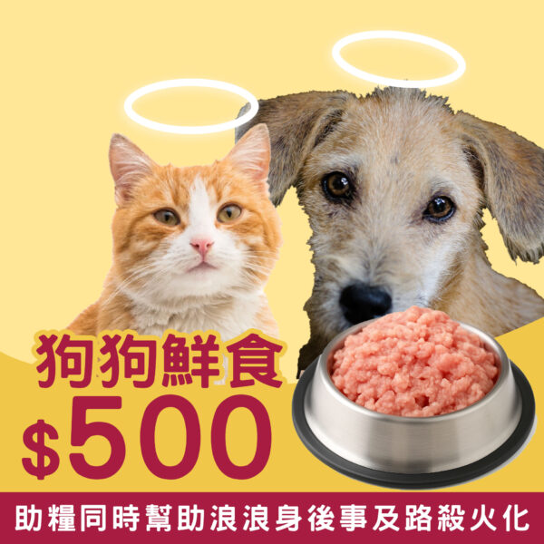 狗狗鮮食