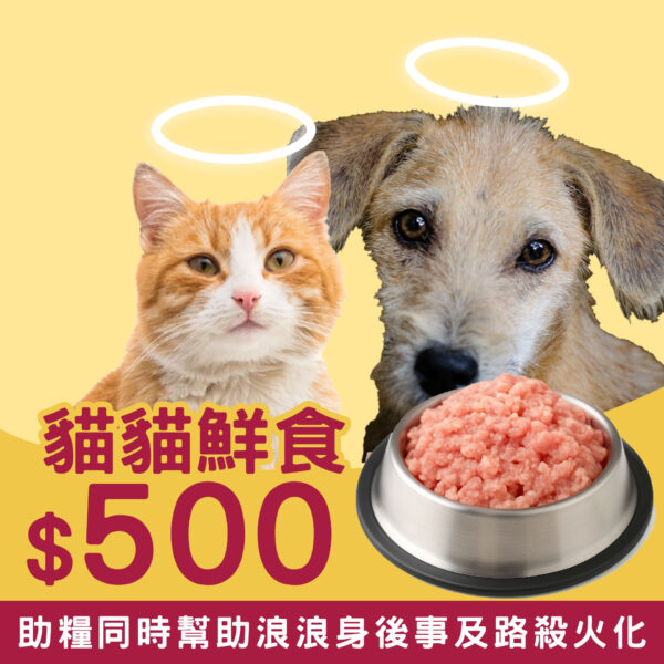 貓貓鮮食