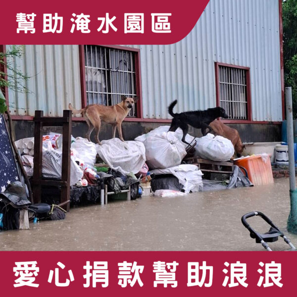 『幫助淹水園區－糧食告急』