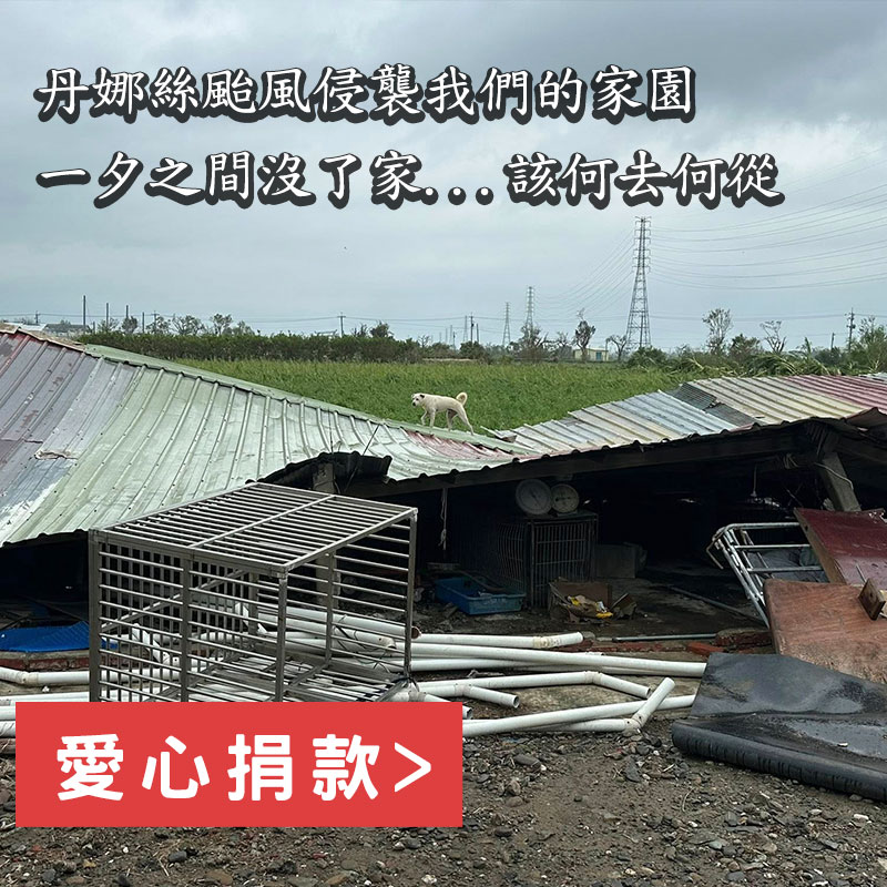 手機板_首頁banner5