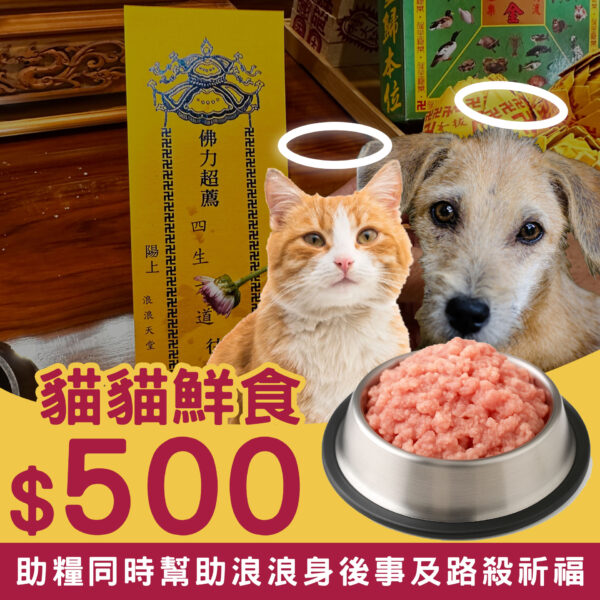 貓貓鮮食