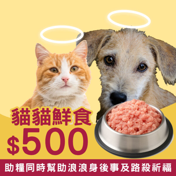 貓貓鮮食