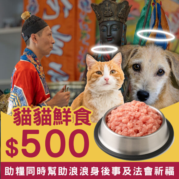 貓貓鮮食