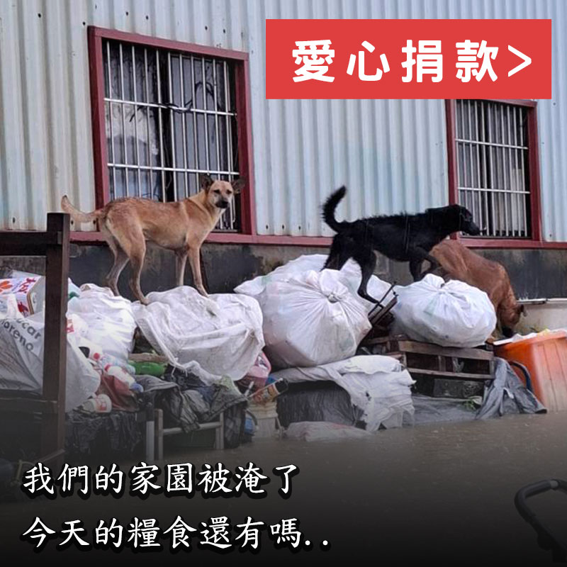 手機板_首頁banner6