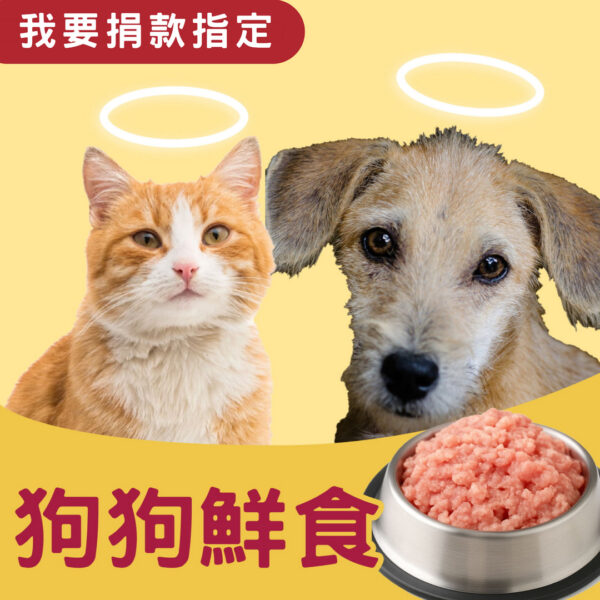 我要捐款指定 > 狗狗鮮食