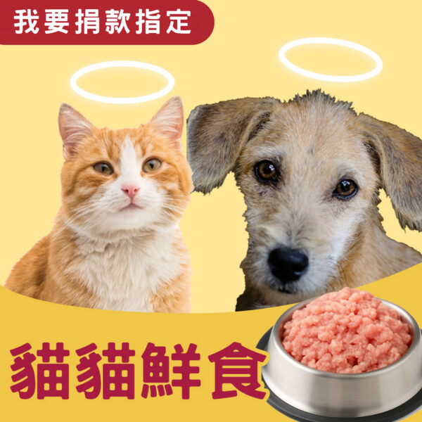 我要捐款指定 > 貓貓鮮食
