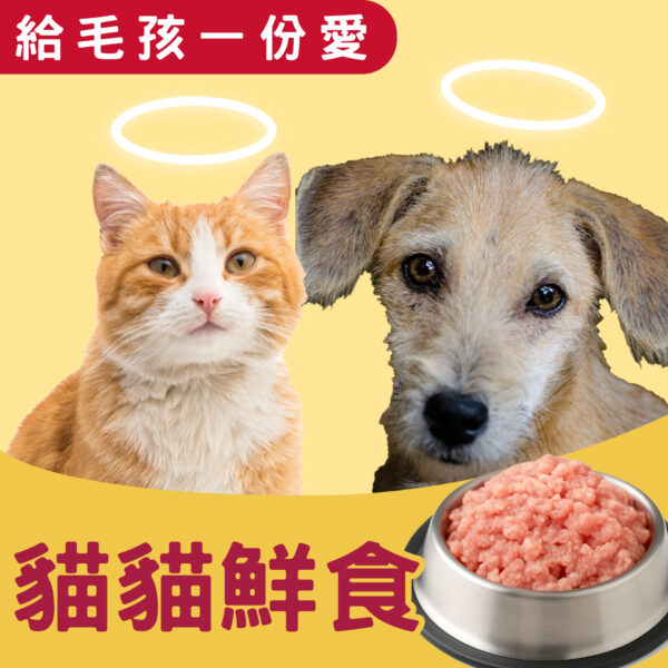 邀您一同關懷 > 貓貓鮮食