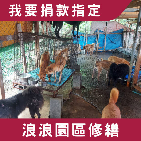 我要捐款指定 > 流浪犬貓環境修繕計畫