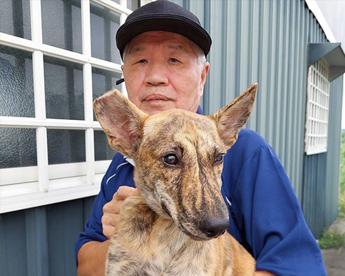 嘉義林爸狗園