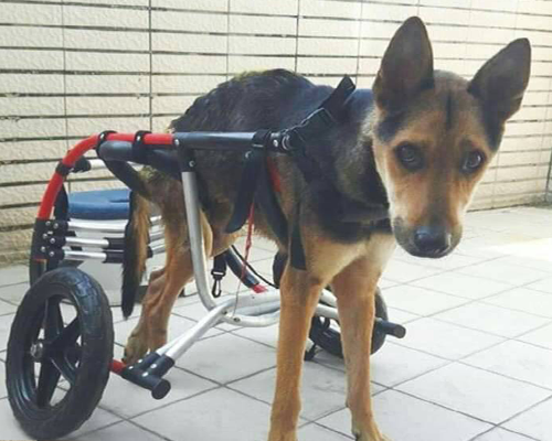 陳老師園區