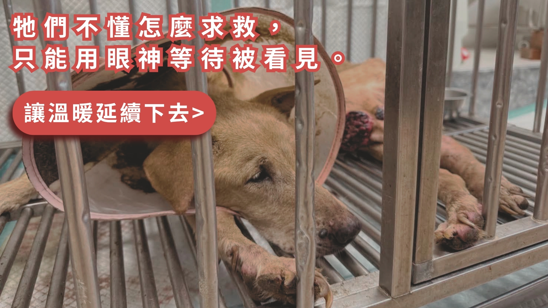首頁輪播圖