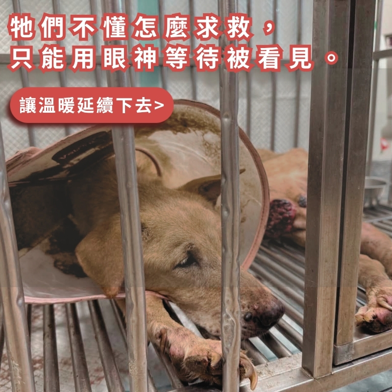 首頁輪播圖(手機 平板版本)